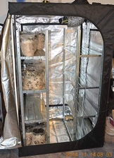 Field or Shop Mushrooms